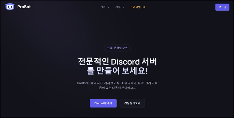 디스코드 노래 봇 추천 2