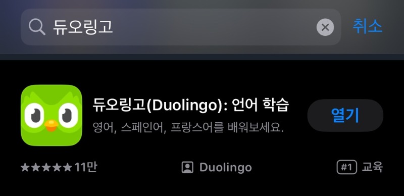 듀오링고 언어 공부 사용법 1