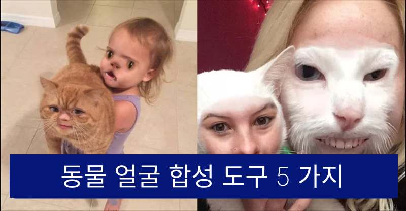 동물 얼굴 합성