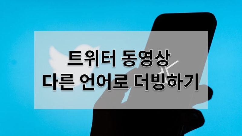 트위터 동영상 더빙