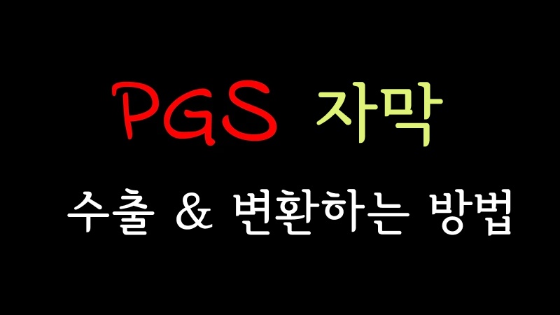 pgs 자막 변환