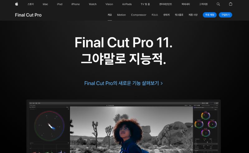 파이널 컷 프로