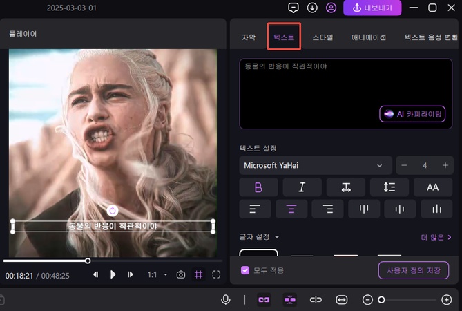 자막 생성 텍스트 검토