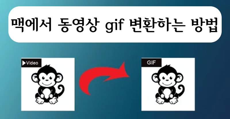 동영상 gif 변환