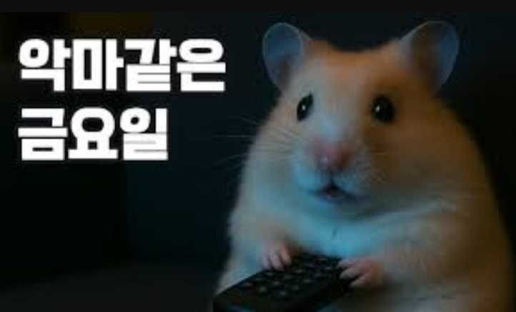 정서불안 김햄찌