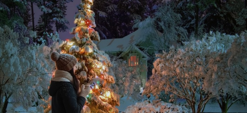 크리스마스 라이트 효과