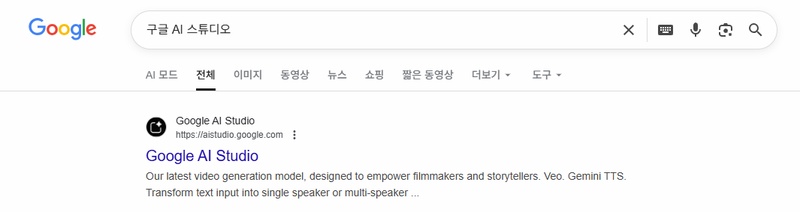 구글 AI 스튜디오 입력