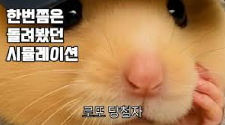 정서불안 김햄찌