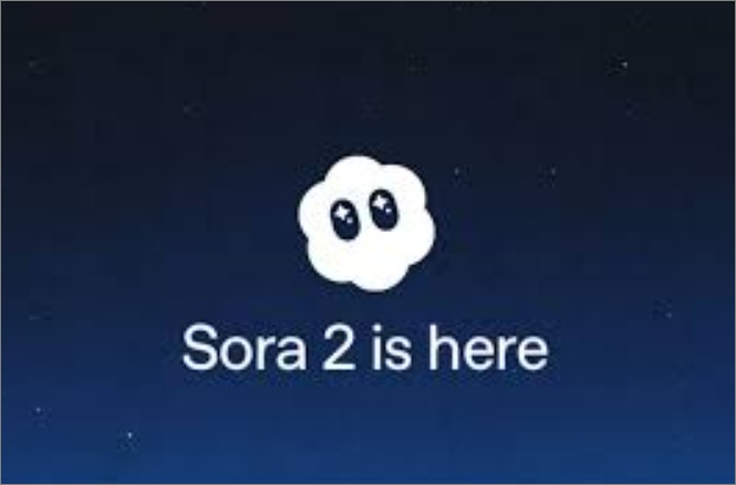 소라2 기본 정보