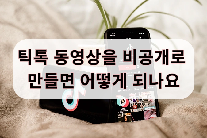 틱톡 영상 비공개 만들기
