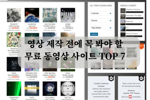 동영상 사이트