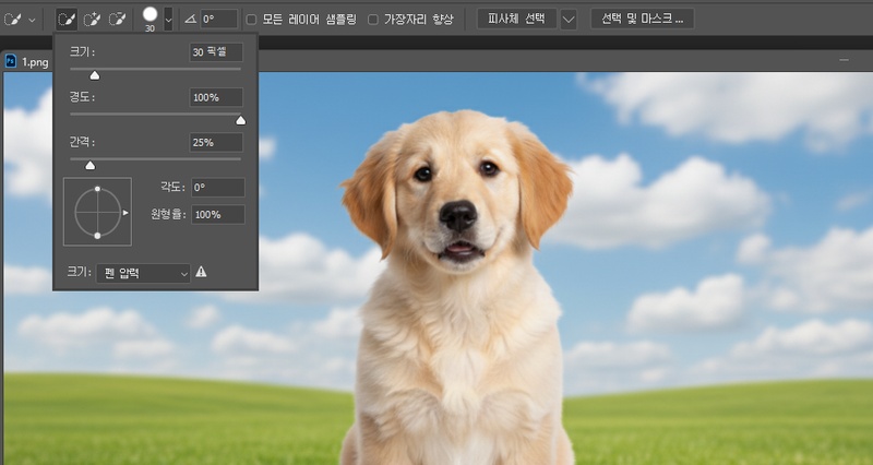 포토샵 흰색 배경 제거 방법 7