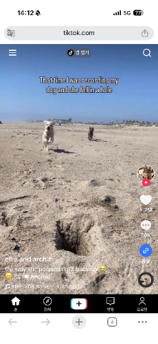 스마트폰에서 틱톡 앱 없이 보는 방법 2