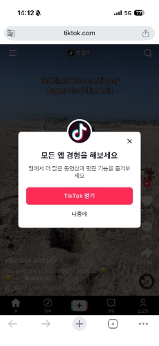 스마트폰에서 틱톡 앱 없이 보는 방법 3