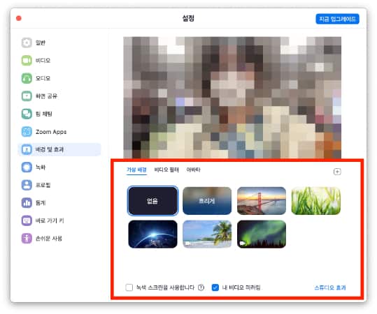 아이패드 줌 배경 화면