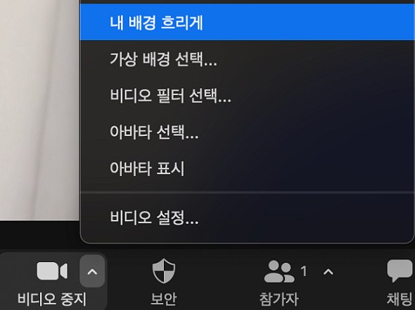 맥에서 줌 배경을 흐리게하는 법